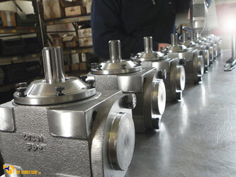 BP Riduttori S.r.l. Italy - Subcontract Assembly